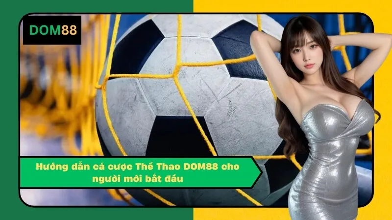 Hướng dẫn cá cược Thể Thao DOM88 cho người mới bắt đầu