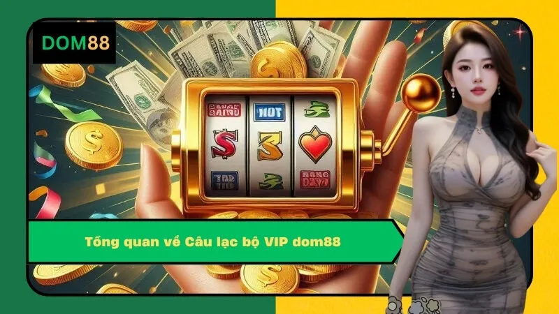  Tổng quan về Câu lạc bộ VIP dom88